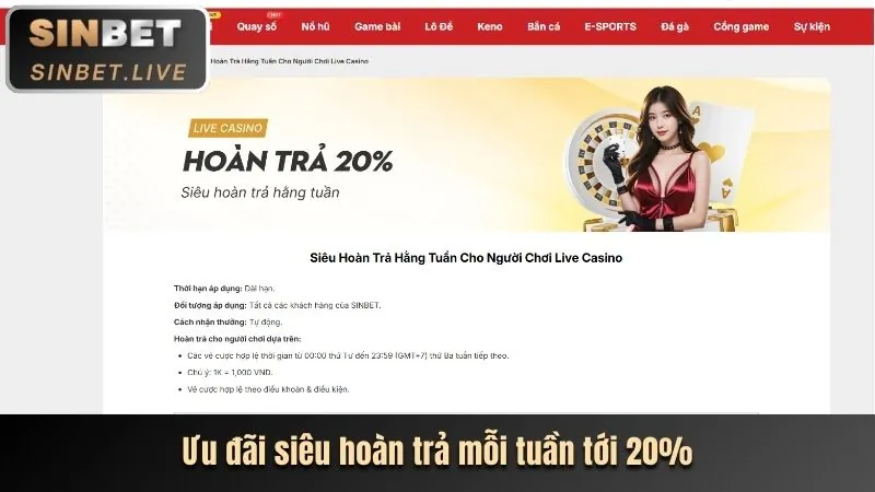 Hoàn trả hàng ngày và hàng tuần J33
